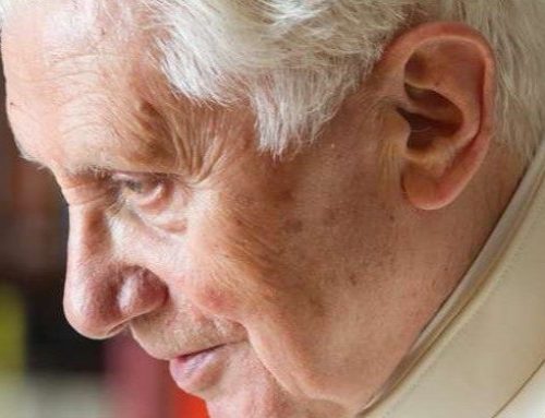 Benedicto XVI, colaborador de la verdad – Carolina Riva Posse