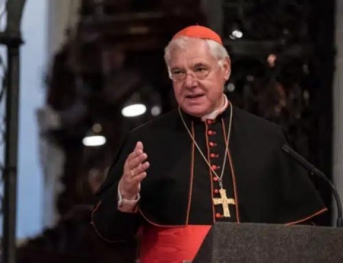 El cardenal Müller denuncia que «la burla de la Última Cena fue un acto de terrorismo espiritual» – Infovaticana