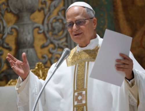 León XIV y la unidad desde las raíces – Magalí Alejandra Rodríguez Zyska