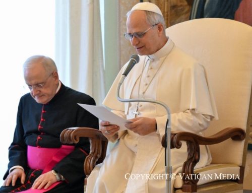 Consejo del Papa León XIV para la vida política: el discurso que todo político católico debe leer – ZENIT