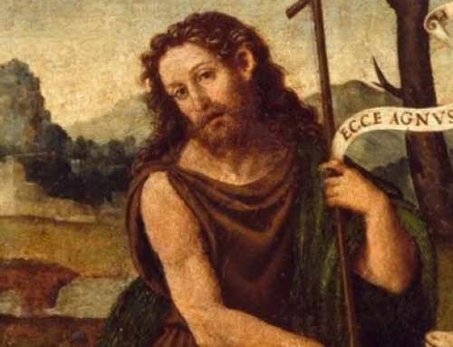 Adviento II. La voz en el desierto – Pbro. Gustavo Irrazábal